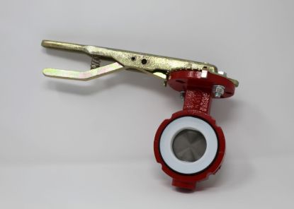Picture of VALVE ULTRAFLO BUTTERFLY 2" W/TEFLON