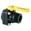 Picture of VALVE BANJO VSMT200 POLY STUBBY VALVE 2" MPT X 2" FPT