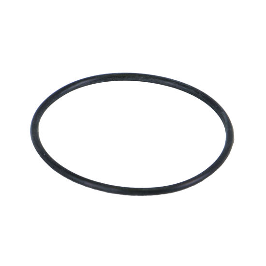 Picture of STRAINER BANJO Y LS141G POLY 1-1/2" & 2" SCREEN O-RING