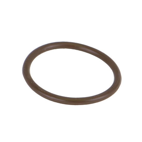 Picture of STRAINER BANJO Y LSQ200-RV POLY 2" DRAIN PLUG O-RING