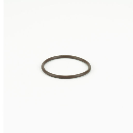 Picture of STRAINER BANJO T LST100-GV POLY 1" CAP GASKET VITON