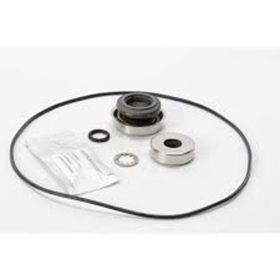 Picture of ACE PUMP RK-GE-660 KIT