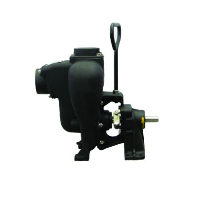 Picture of PUMP BANJO 200PBI CAST IRON W/ PEDESTAL