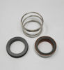Picture of MP10+15 26461 SEVERE SERVICE SEAL