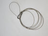 Picture of SQUIBB TAYLOR LANYARD 111931 LC