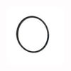 Picture of STRAINER BANJO Y MLS300GV POLY 3" CAP GASKET VITON