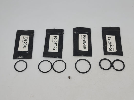 Picture of SQUIBB FM125-0024 O-RING KIT FL