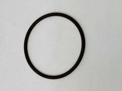 Picture of TEEJET 75 SERIES CLAMP O-RING VITON CP7717-2-229-VI