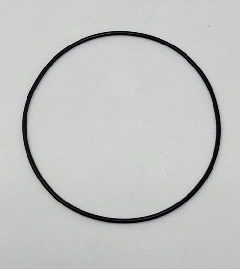 Picture of ACE PUMP 43130 O-RING