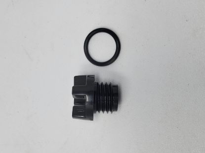 Picture of HYPRO DS-501-021 PLUG & GASKET