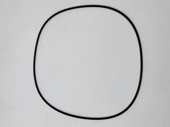 Picture of HYPRO DS-501-002 O-RING