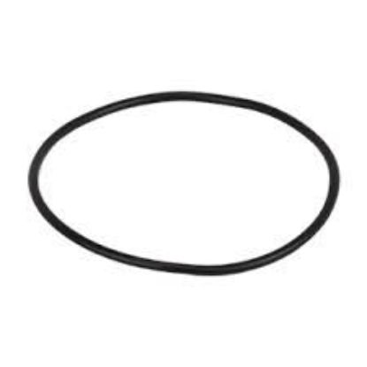 Picture of STRAINER BANJO Y MLS220G1V POLY 2" FULL PORT MANIFOLD CAP O-RING VITON