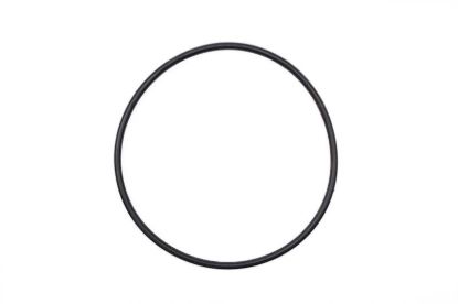 Picture of STRAINER BANJO Y MLS220G1 POLY 2" FULL PORT MANIFOLD CAP O-RING EPDM