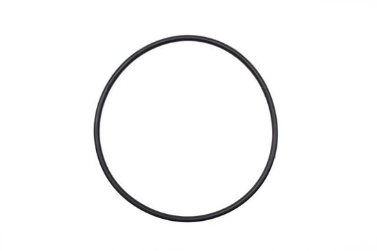 Picture of STRAINER BANJO Y MLS220G1 POLY 2" FULL PORT MANIFOLD CAP O-RING EPDM