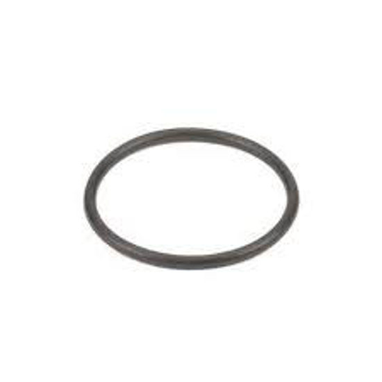 Picture of STRAINER BANJO Y LS075-G POLY 1/2" & 3/4" CAP GASKET