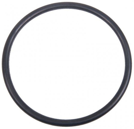 Picture of STRAINER BANJO Y LS100-G POLY 1" & 1-1/4" CAP GASKET