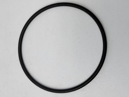 Picture of STRAINER BANJO Y LS300-G2 POLY 3" CAP GASKET