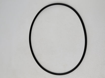 Picture of STRAINER BANJO Y LS300-G1 POLY 3" CAP GASKET