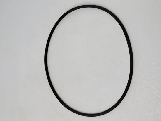 Picture of STRAINER BANJO Y LS300-G1 POLY 3" CAP GASKET
