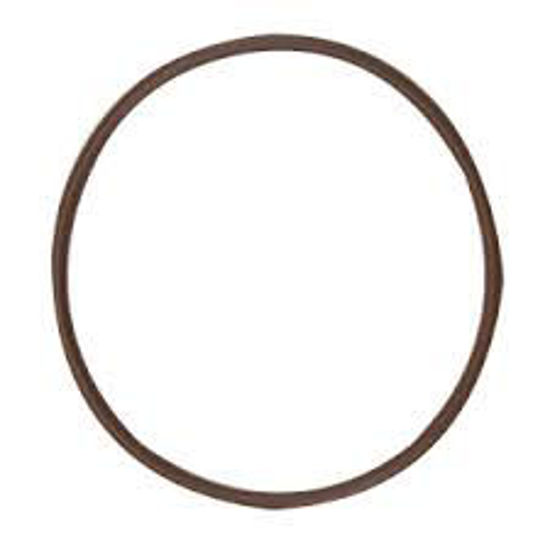 Picture of STRAINER BANJO Y MLS300ECGV POLY 3" END CAP GASKET VITON