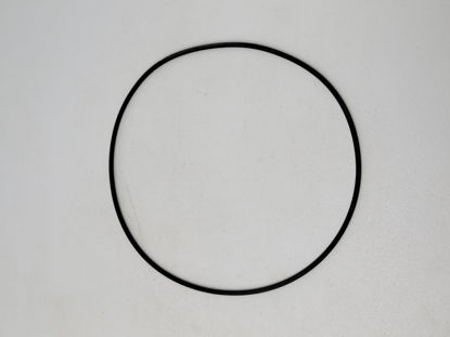 Picture of STRAINER BANJO Y LS300-G POLY 3" CAP GASKET