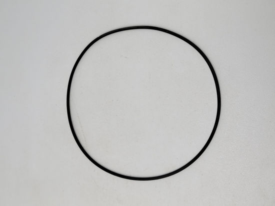 Picture of STRAINER BANJO Y LS300-G POLY 3" CAP GASKET