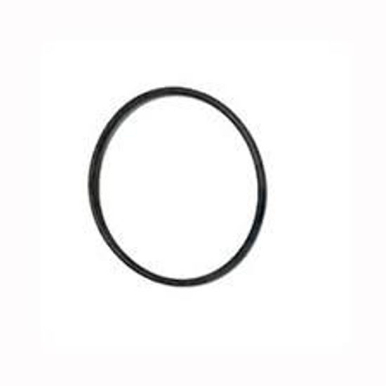 Picture of STRAINER BANJO Y MLS300GV POLY 3" CAP GASKET VITON