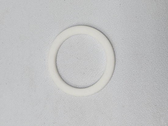 Picture of RAVEN 1" UNION GASKET TEFLON
