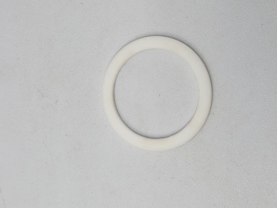 Picture of RAVEN 7/8" UNION GASKET TEFLON