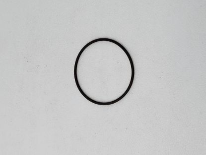 Picture of RAVEN RFM55 O-RING VITON