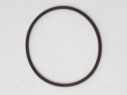 Picture of RAVEN RFM100 O-RING VITON #238