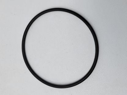 Picture of STRAINER BANJO Y LS300ECG POLY 3" END CAP GASKET