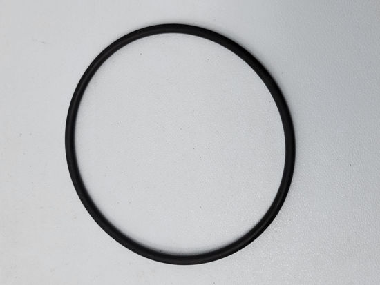 Picture of STRAINER BANJO Y LS300ECG POLY 3" END CAP GASKET