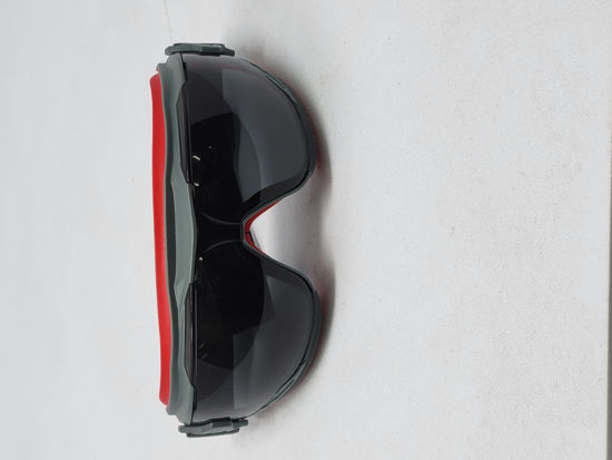 Picture of GOGGLES RADNOR TINTED